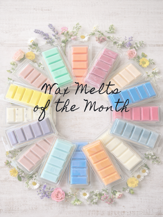 garden wick wax melt subscription box