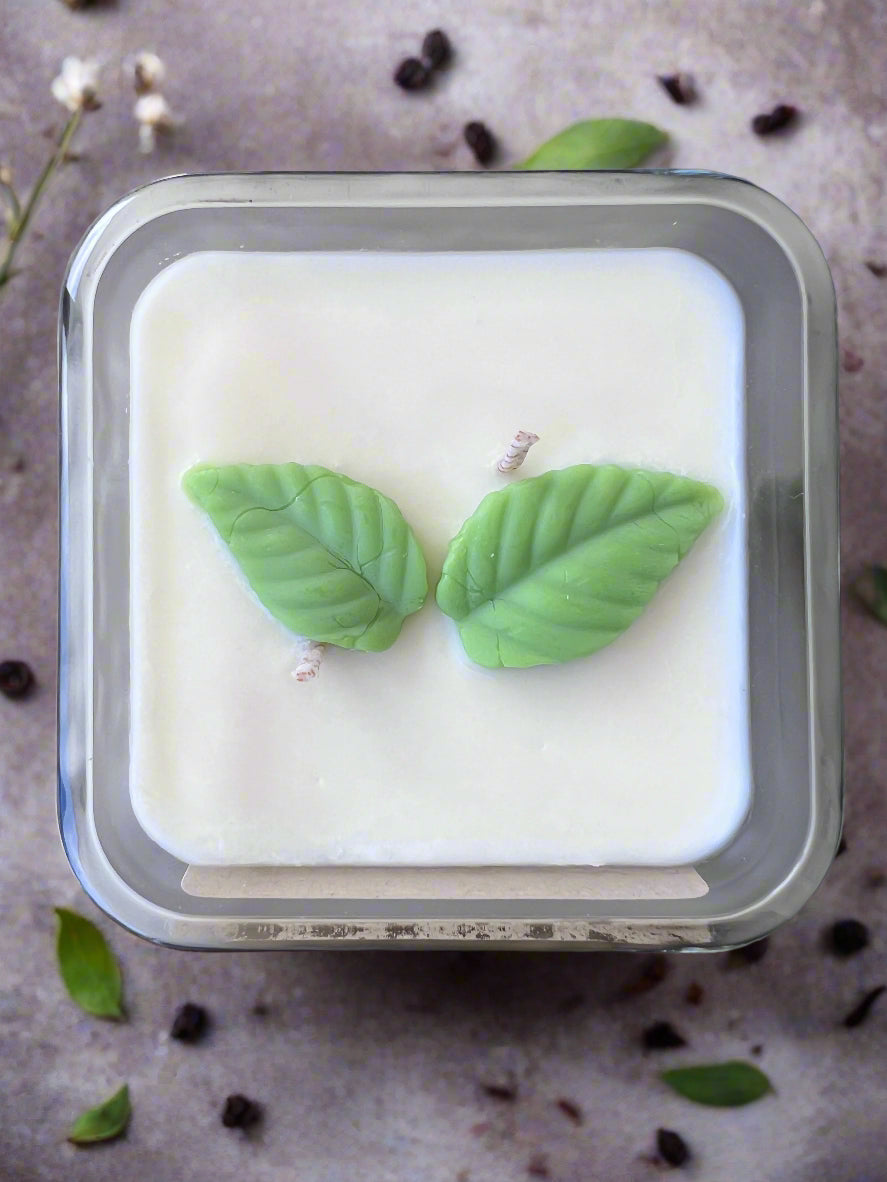 10oz White Tea Cube